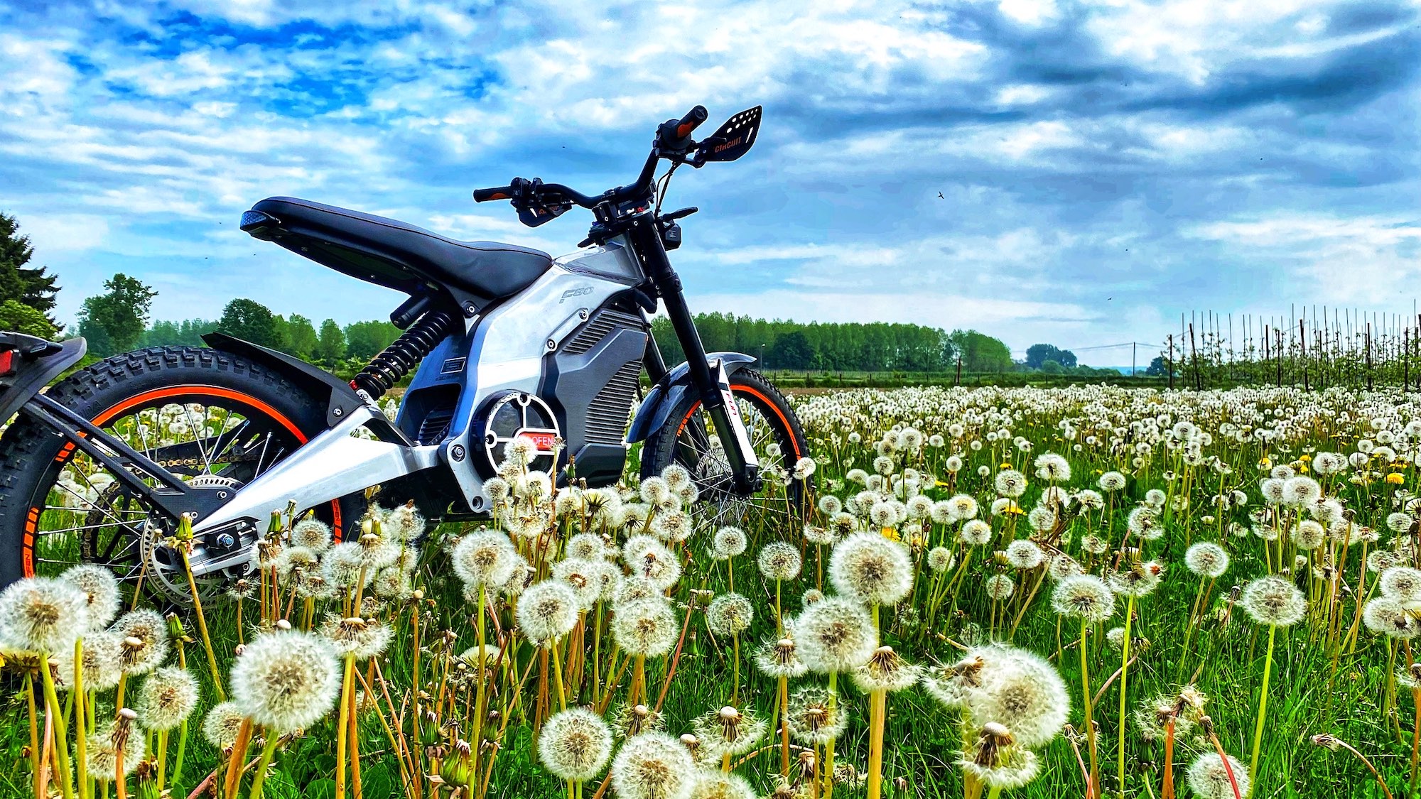 Caofen F80 Etrix Elektro Crossbike Front Schweiz Pusteblume 2